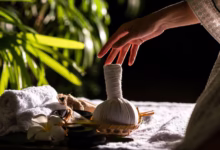 soinducorpsetdesmains