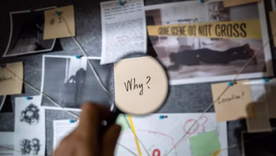 insights logicalshout