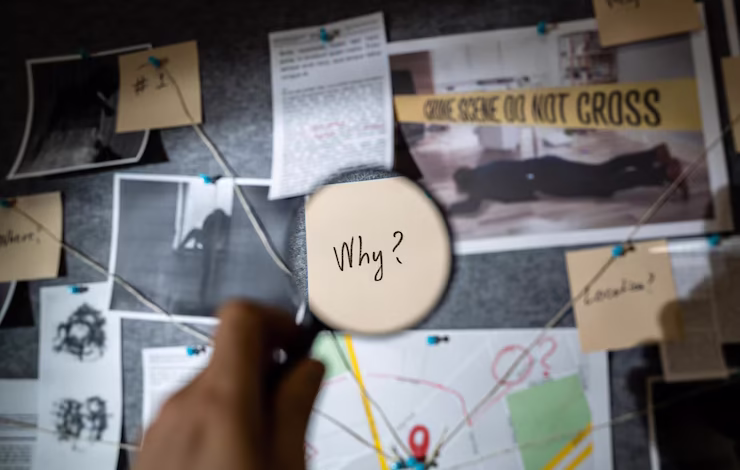 insights logicalshout